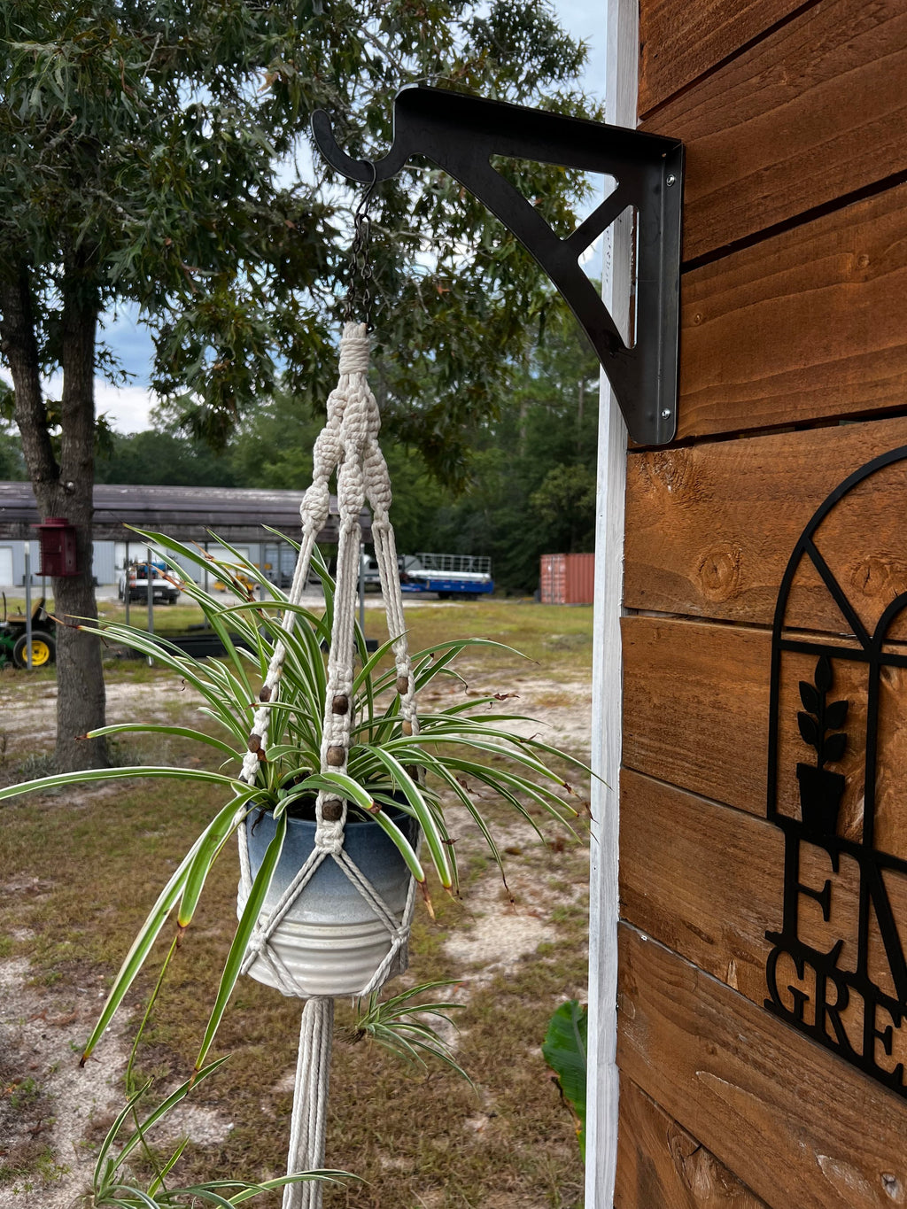 Plant Hanger